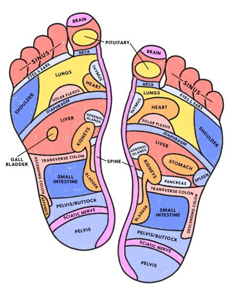 Reflexology: What It Is and How It Works .